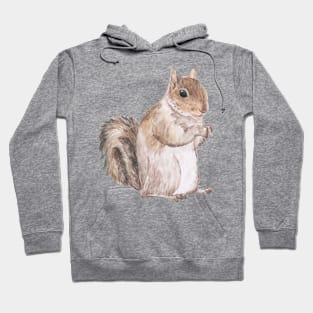 Watercolor Squirrel Hoodie